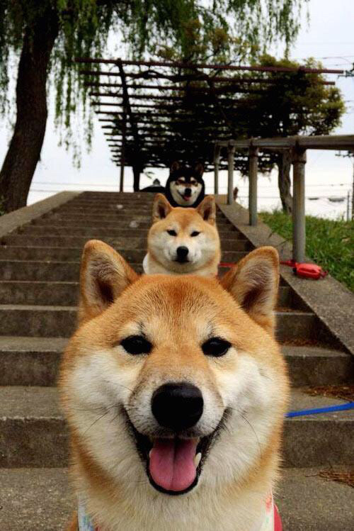 教科书级的传奇，詹姆斯西决生死战封神之夜