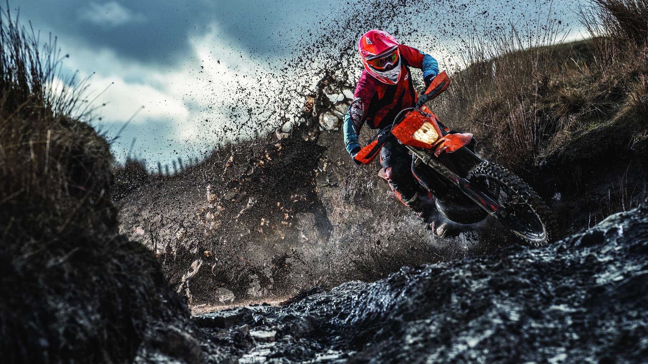 关键先生伦纳德，公牛完胜森林狼背后的唯一性密码